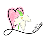自分と向き合う、静かなひととき|会津若松の癒しと脱毛サロン trillium(トリリウム)